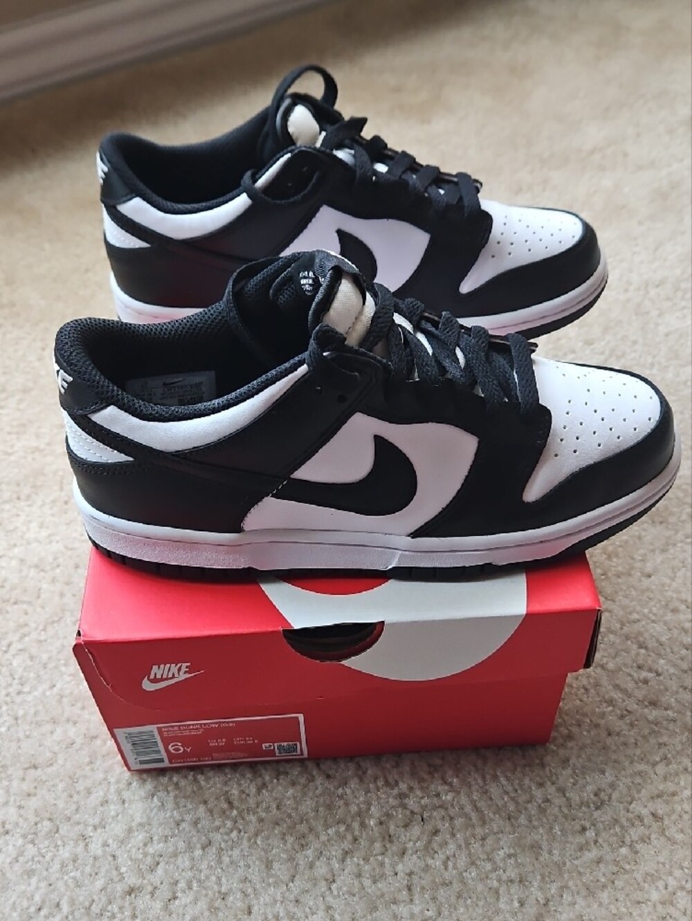 Nike Dunk Low (GS)